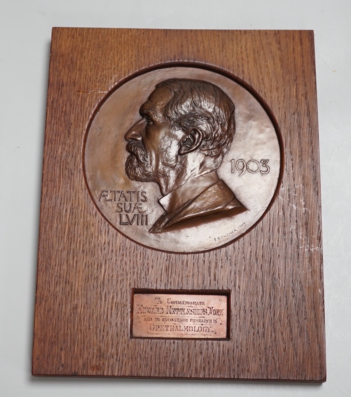 Frank Bowcher (1864-1938) bronze portrait relief plaque ‘To commemorate Edward Nettleships work and to encourage research in ophthalmology’ dated 1903, oak frame 28.5 x 21.5 cm